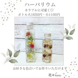 花＊hana & まるto花畑