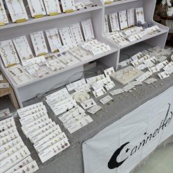 cannelle