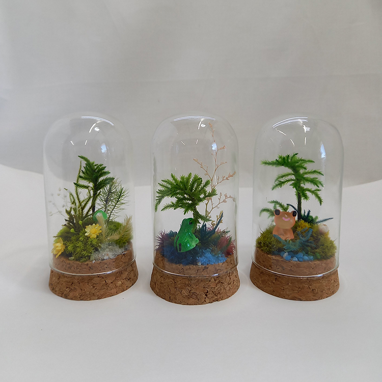 苔工房アイモス
