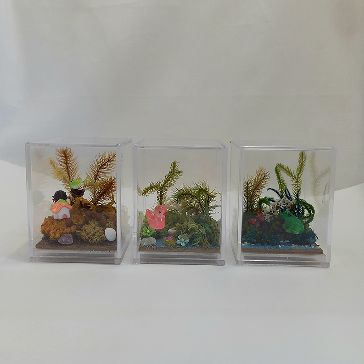 苔工房アイモス