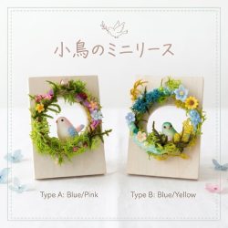 苔工房アイモス