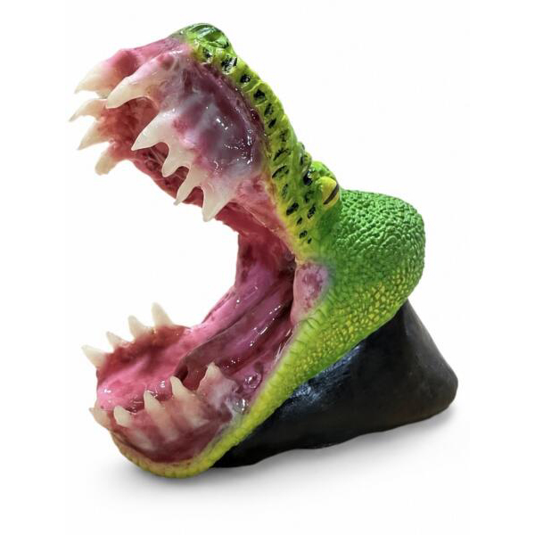 Reptiles Kotori